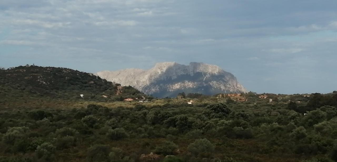 Veliero House Βίλα Murta Maria Εξωτερικό φωτογραφία